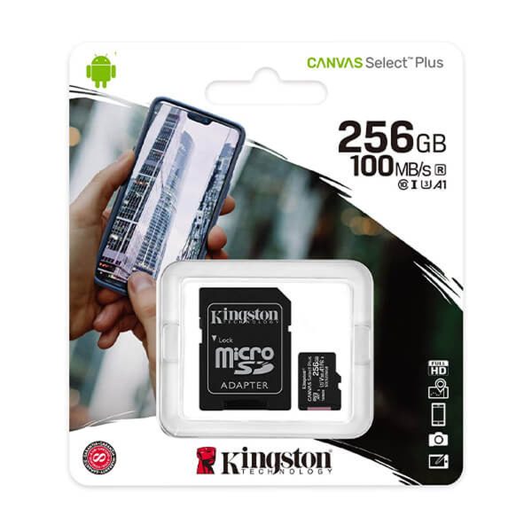 Kingston Tarjeta de Memoria MicroSD 256GB Negra